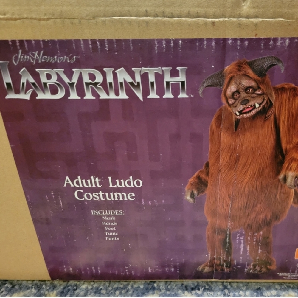 Reserved Listing- Ludo Costume Box